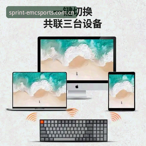 2024年易倍体育平台登录方式对比：3个关键维度助你选出最优解